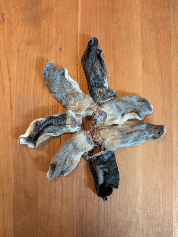 Dehydrated Rabbit Ears (10 per order)