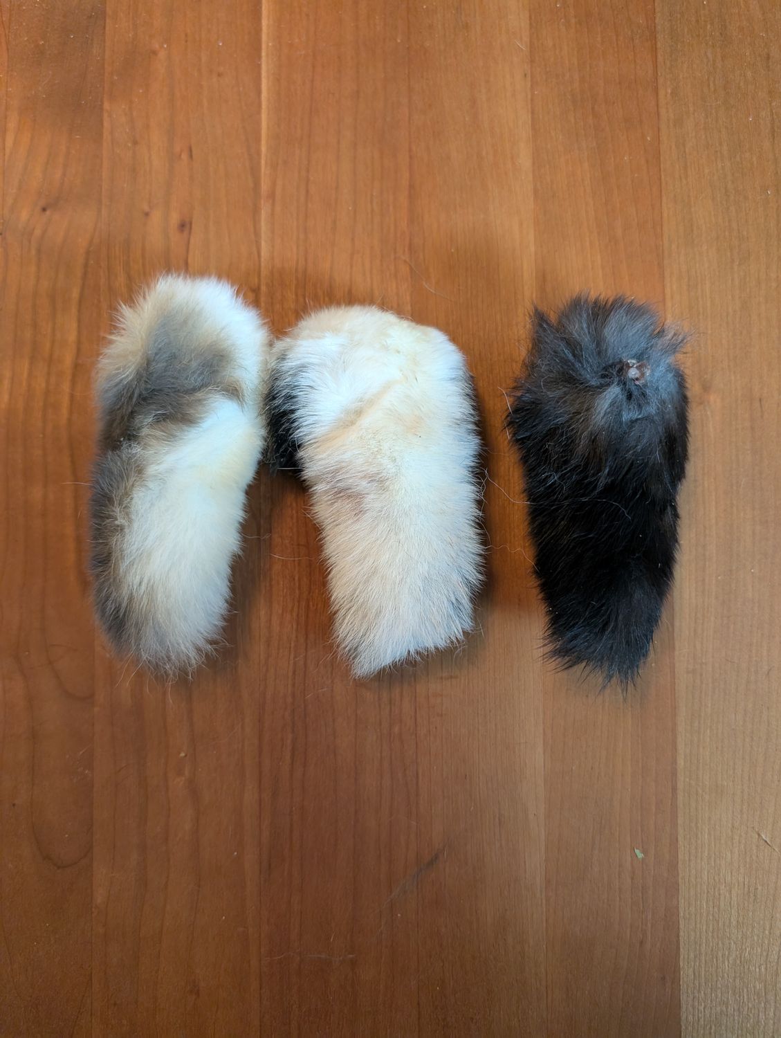 Cottontail- All-natural dehydrated Kitty toy