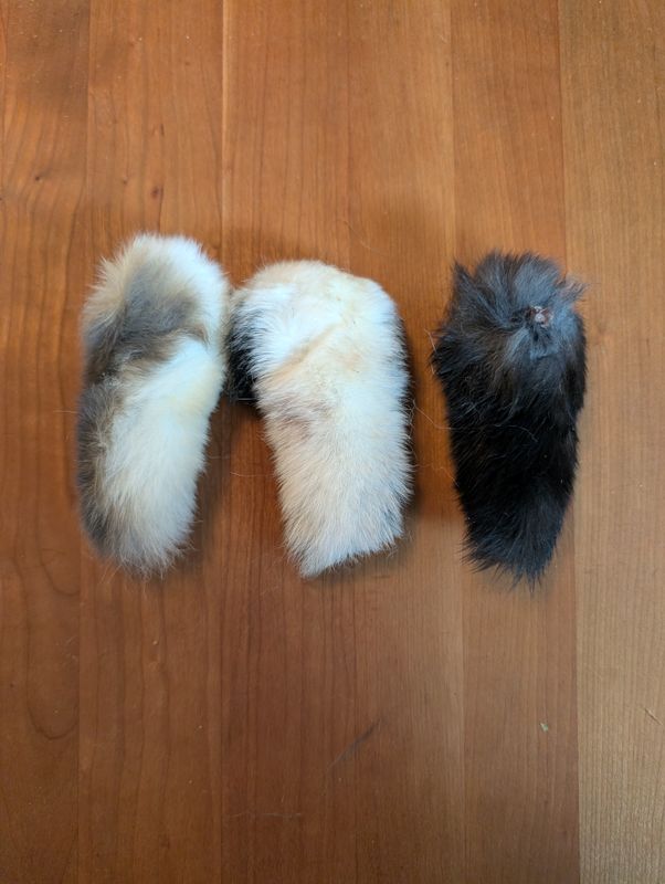 Cottontail- All-natural dehydrated Kitty toy