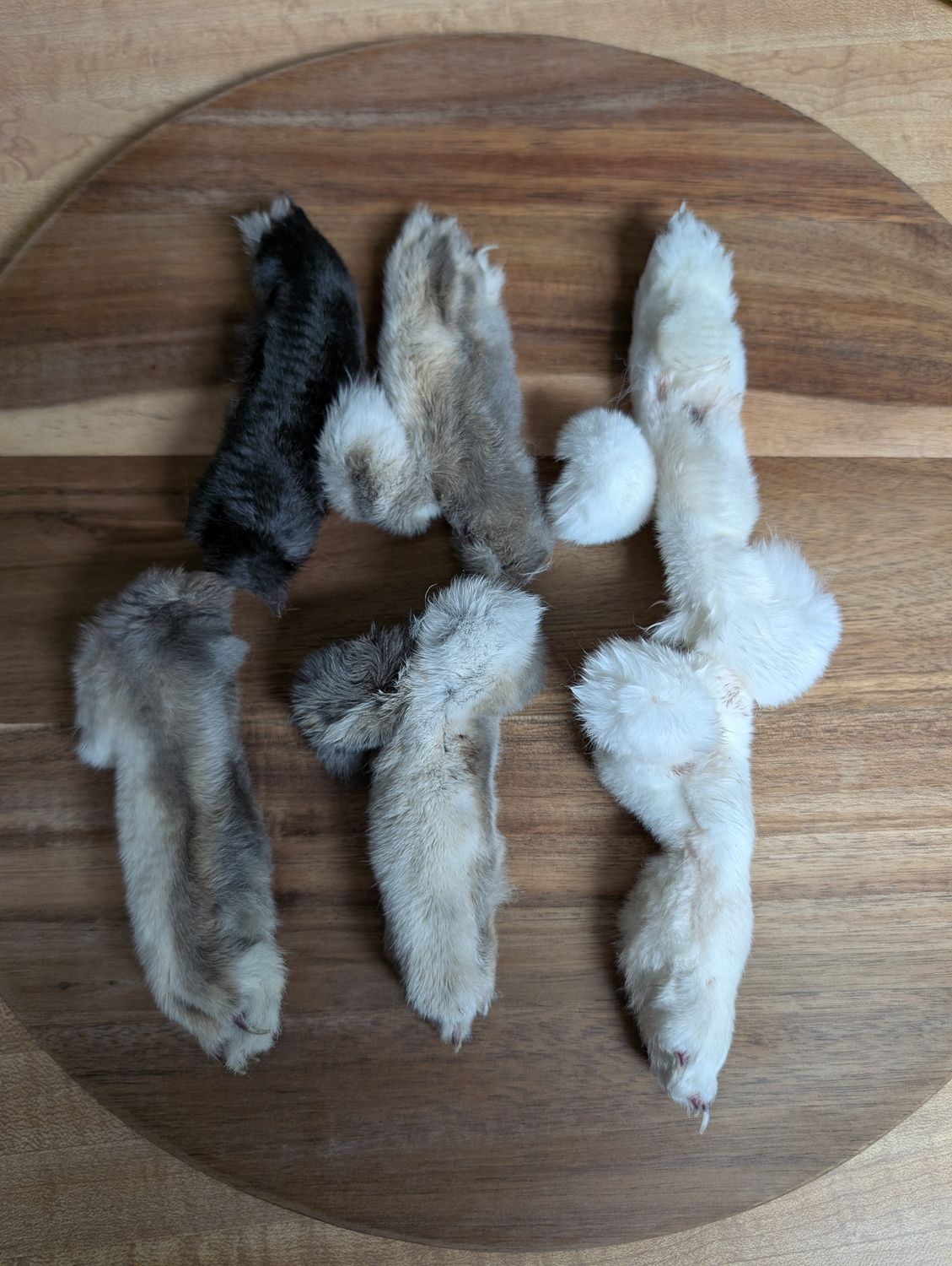 Dehydrated Rabbit Feet (10 per order)