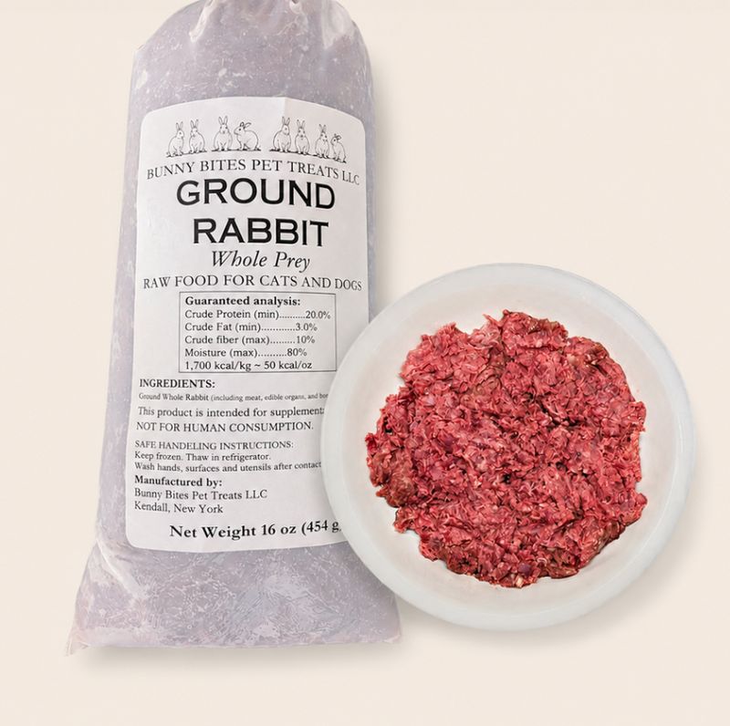 FROZEN Ground Rabbit