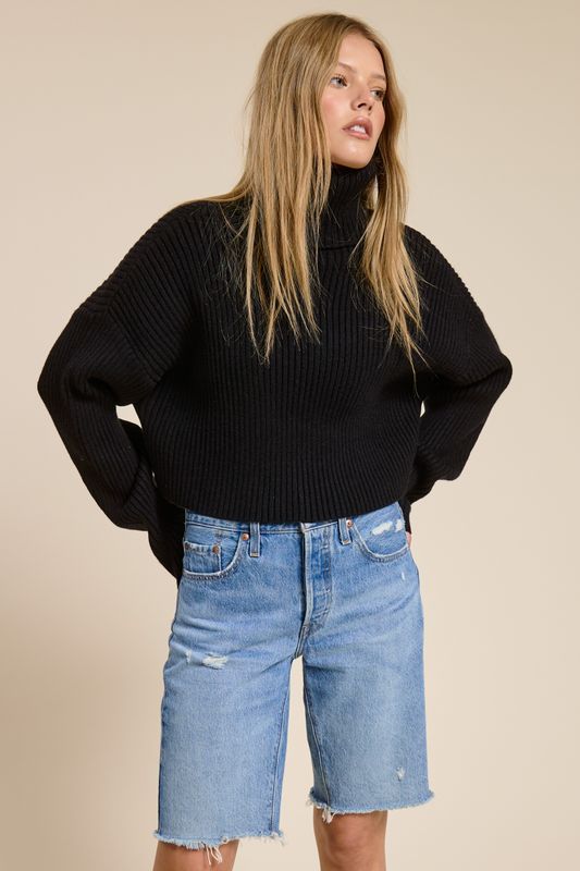 Snowed In Turtleneck Sweater