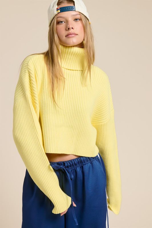 Snowed In Turtleneck Sweater