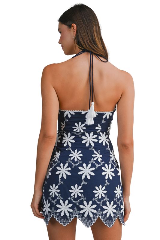 Aster Embroidered Cotton Dress