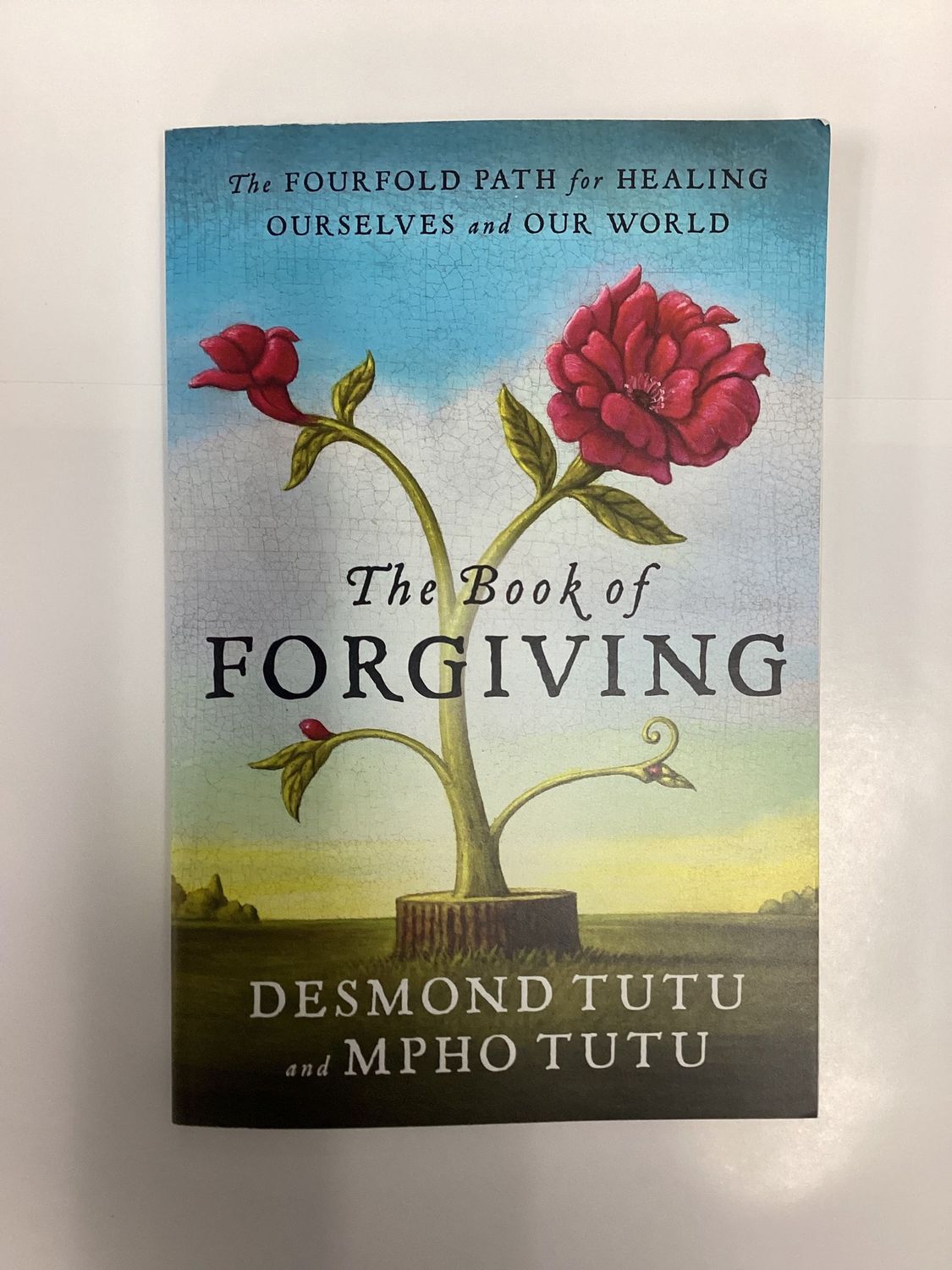 The Book of Forgiving