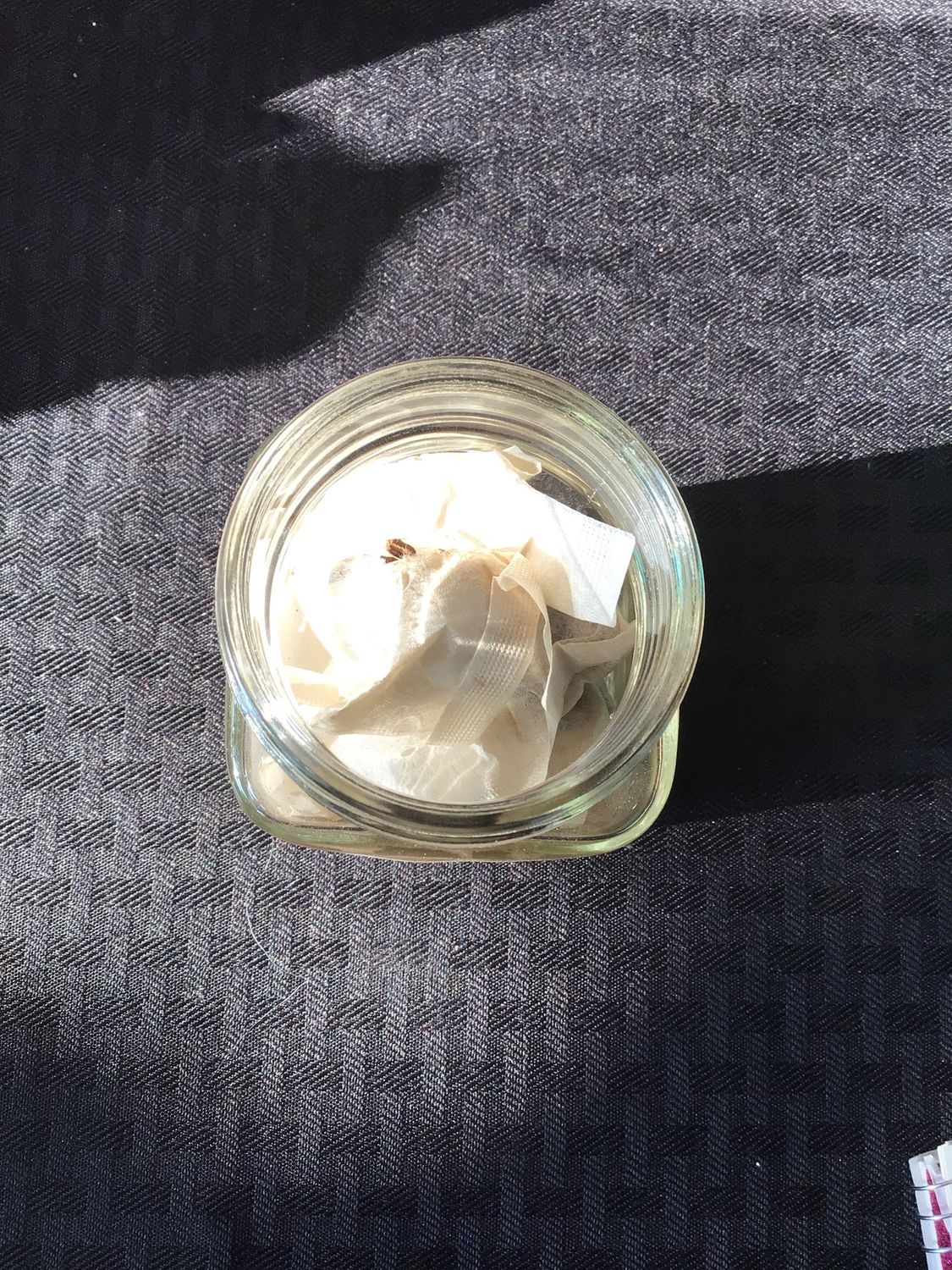 Yellow Dock Root Tea Bags