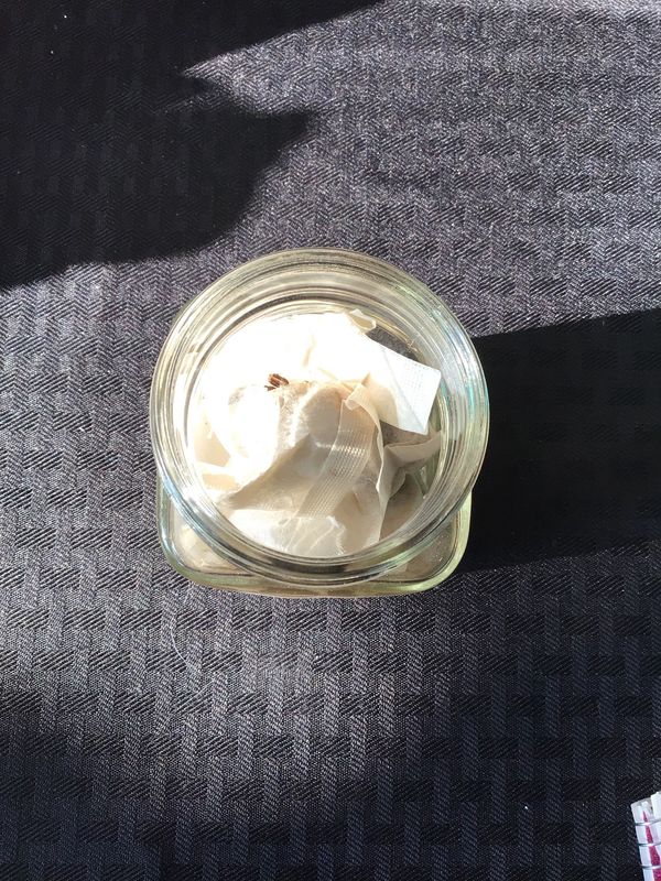 Yellow Dock Root Tea Bags