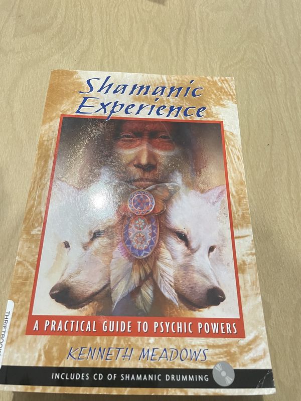 Shamanic Experience