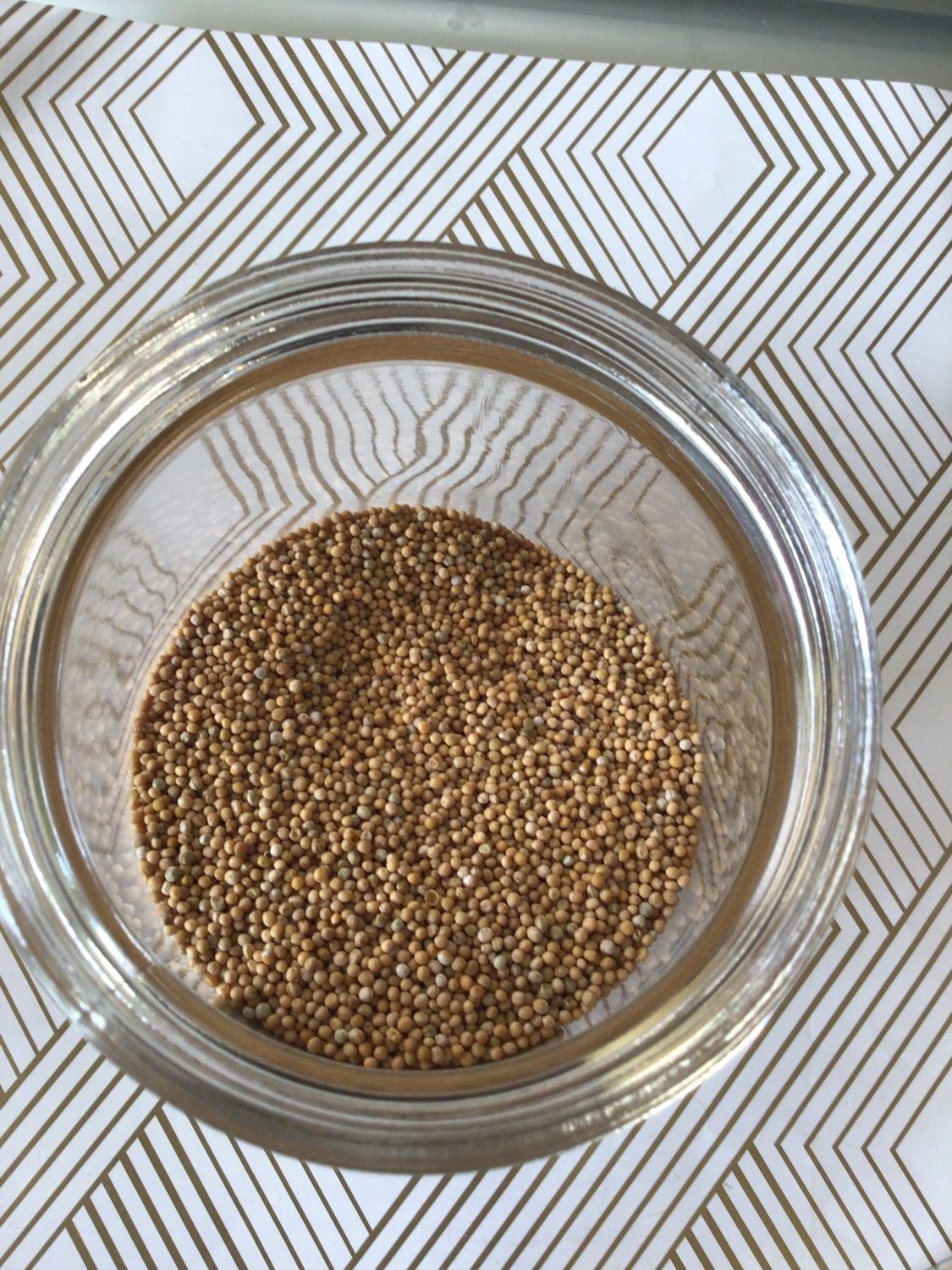 Mustard Seed Ground (Yellow)