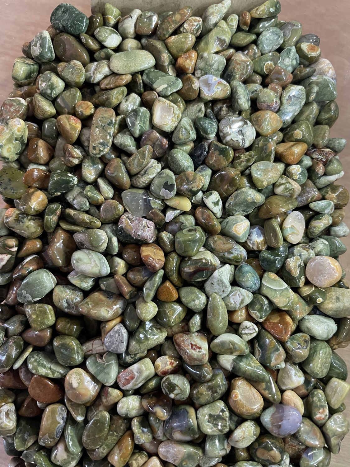 Rainforest Jasper TC