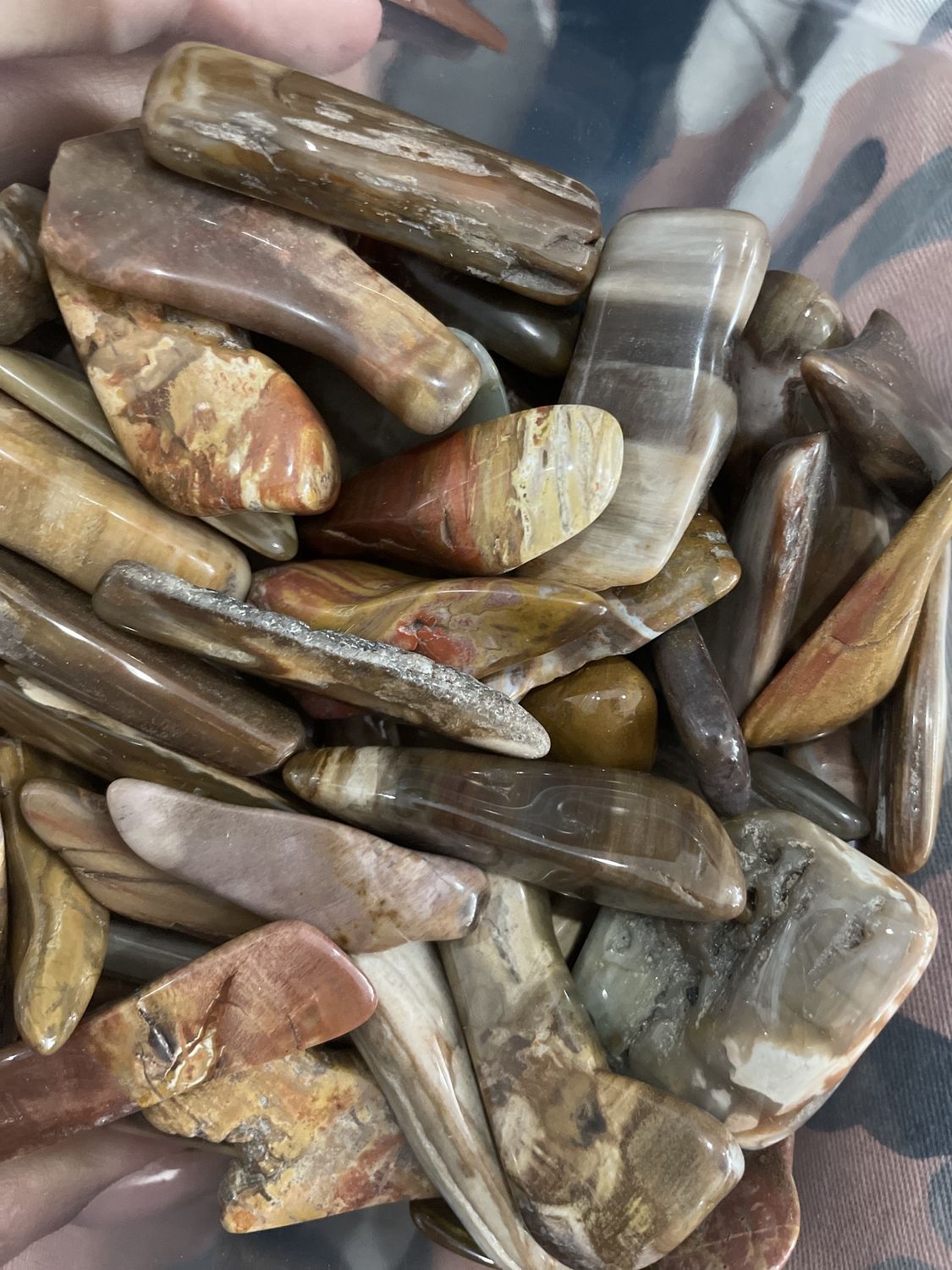 Petrified Wood PT