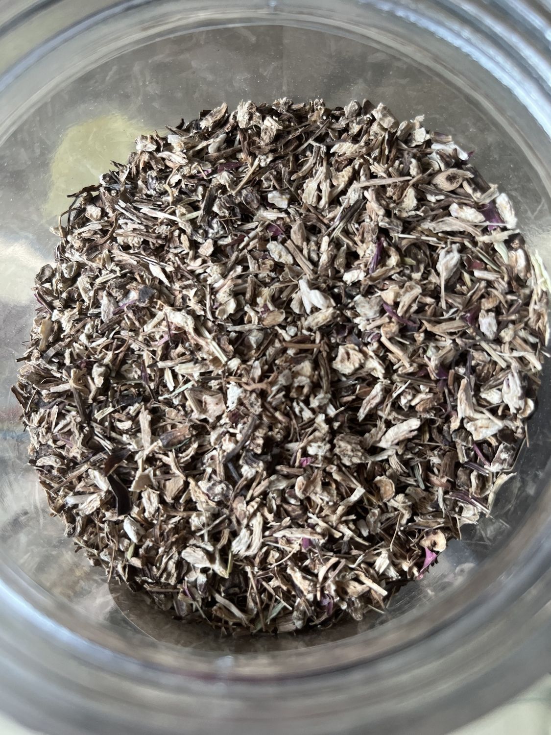 Echinacea Root