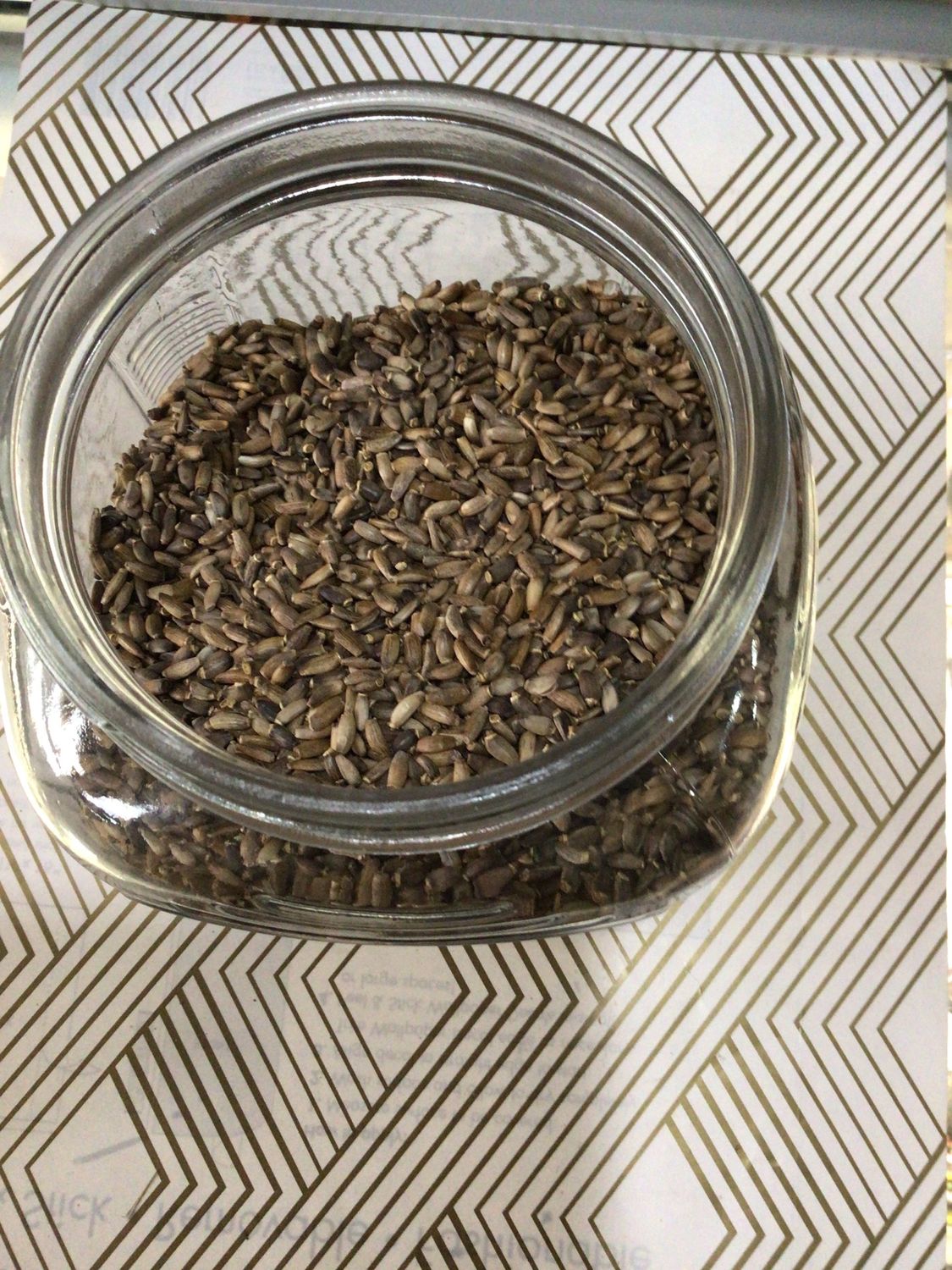 Milk Thistle 