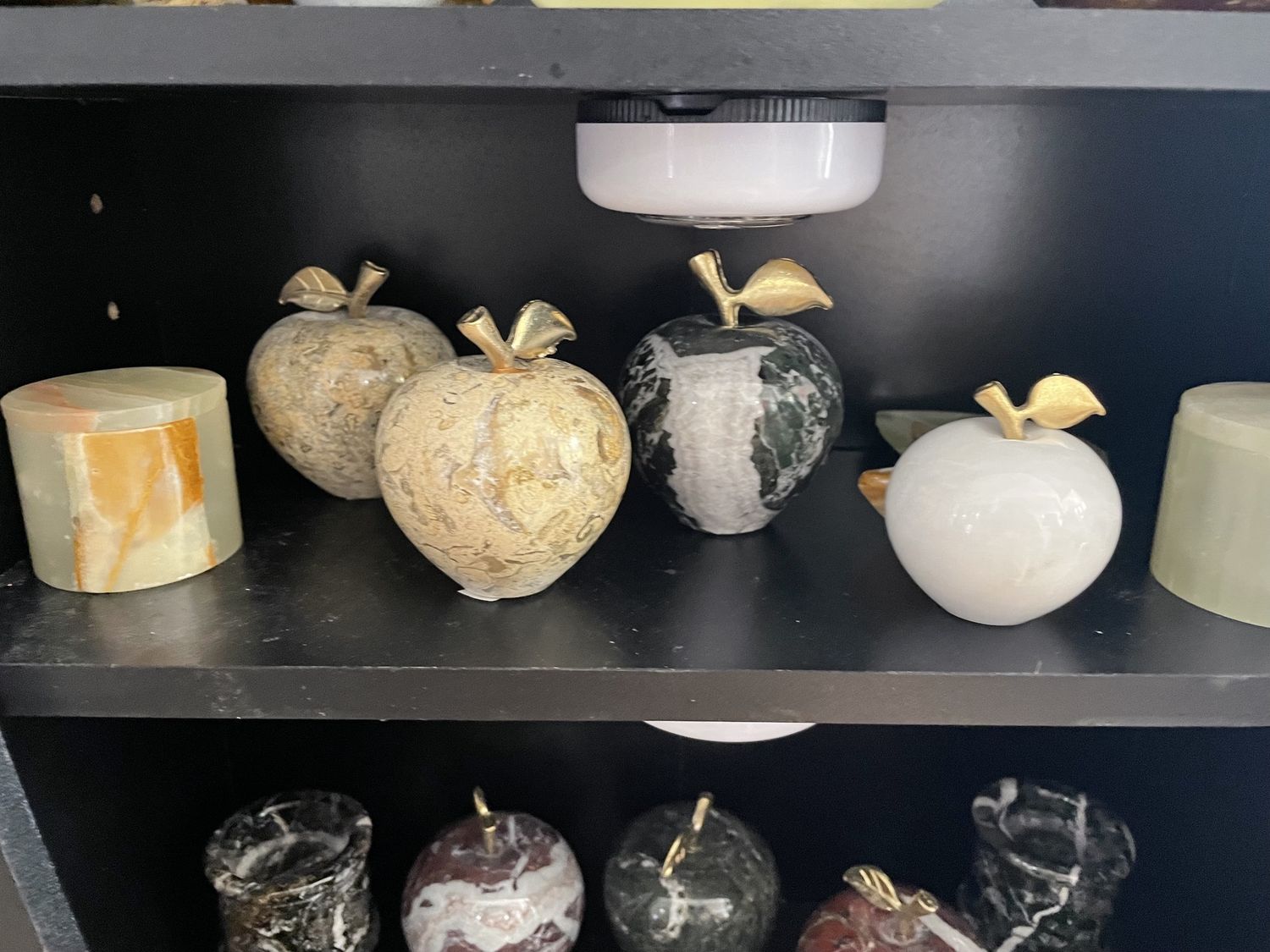 Black Zebra Apple 2.5''