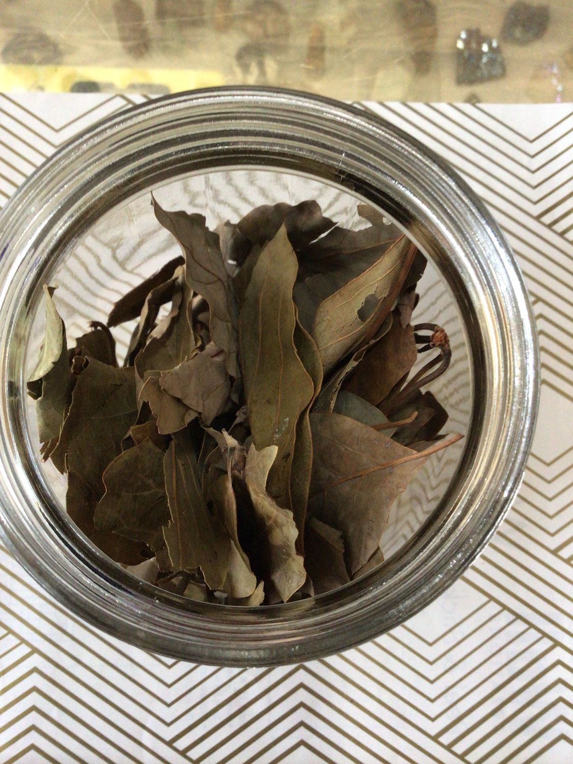 Avocado Leaves