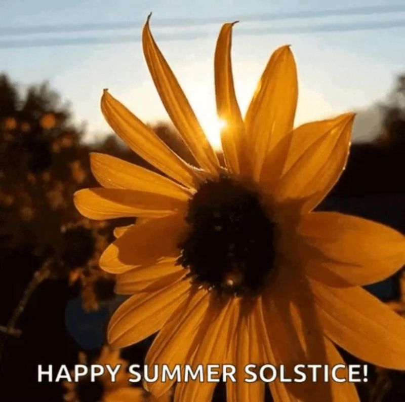 Summer Solstice Gathering