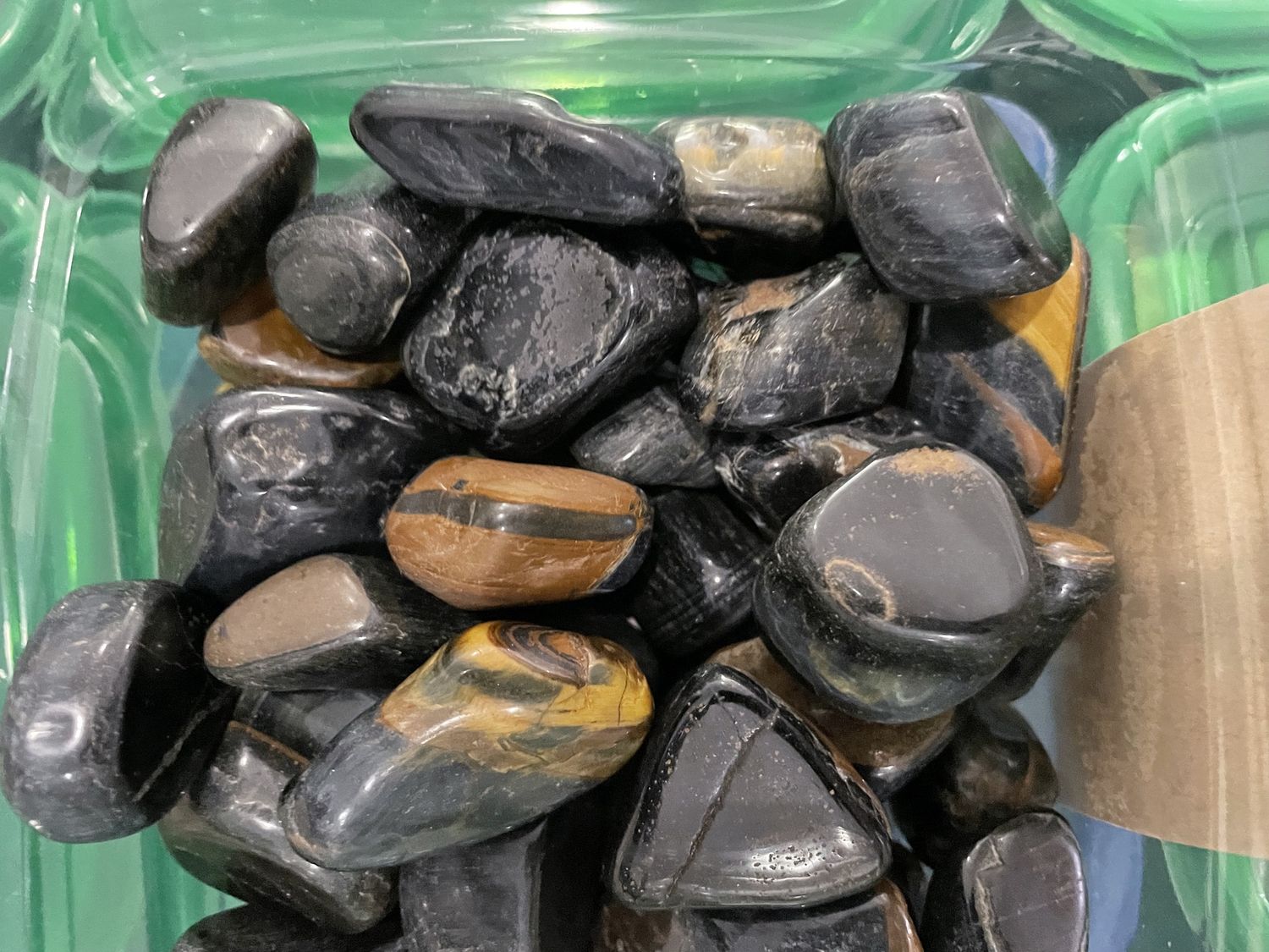 Tiger's Eye Blue Falconeye Lg PT