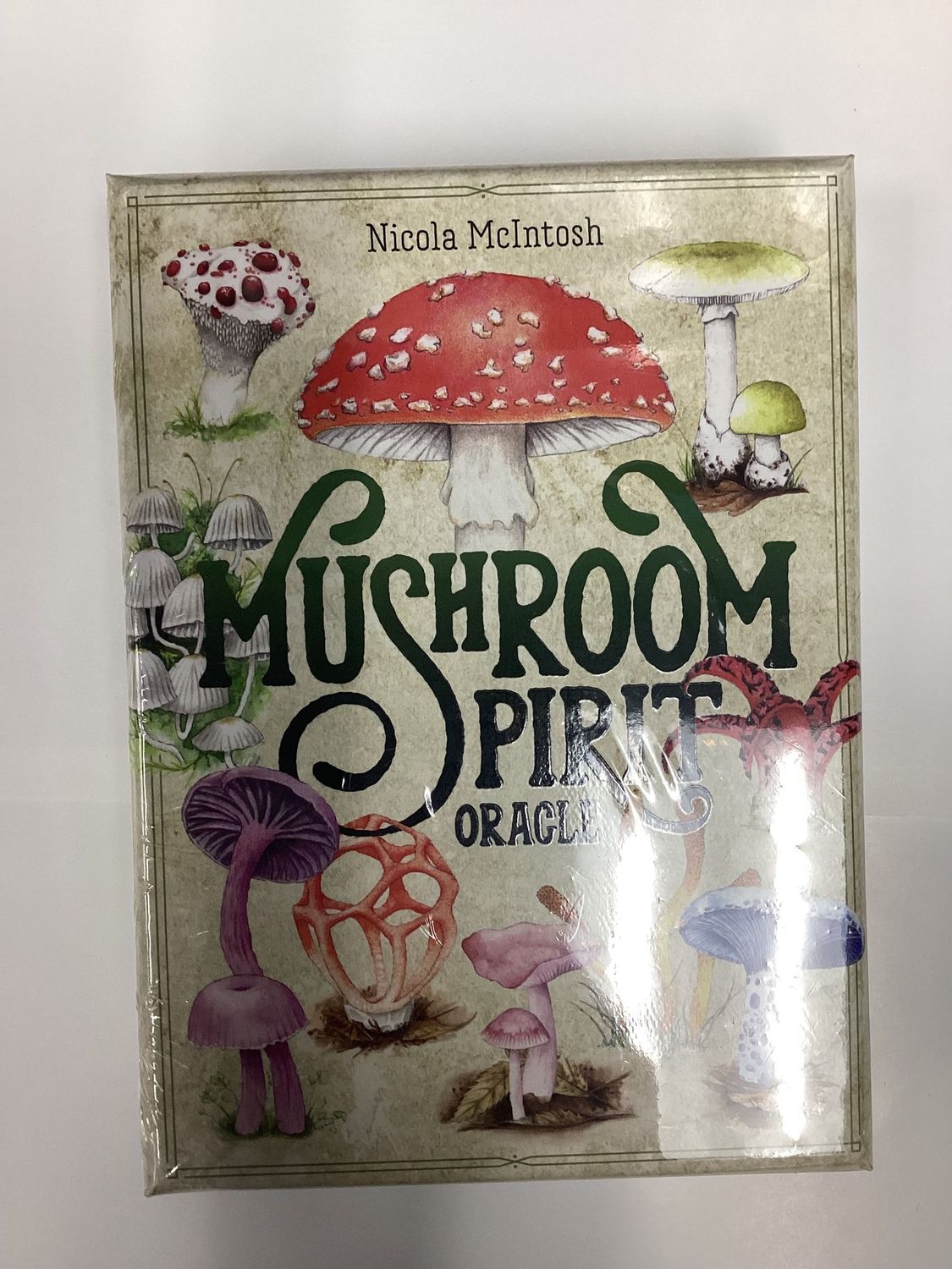 Mushroom Spirit Oracle