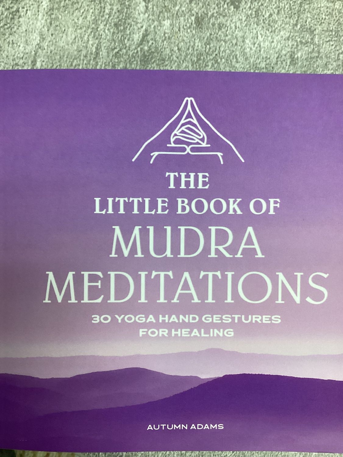 The Little Book of Mudra Meditations