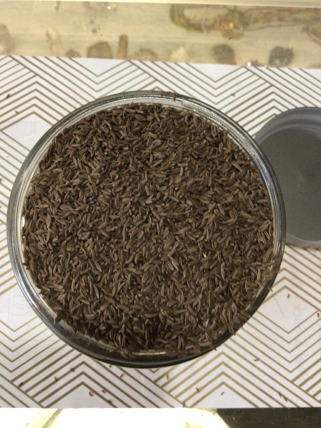 Caraway Seed
