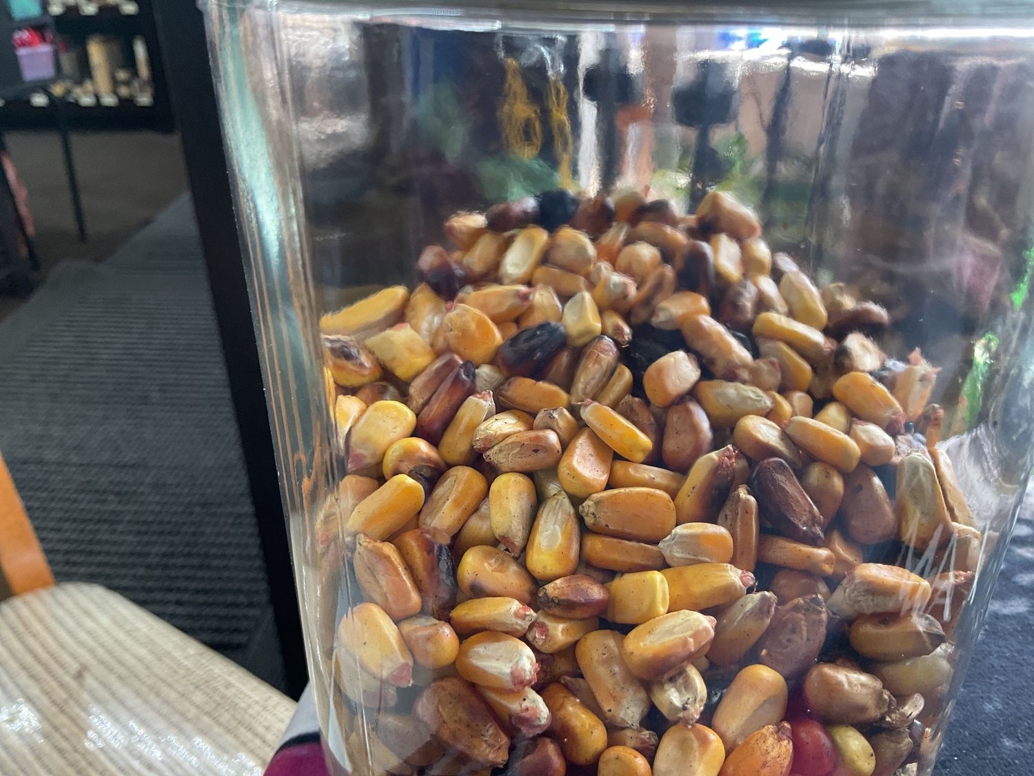 Maiz Tostado (Roasted Corn)