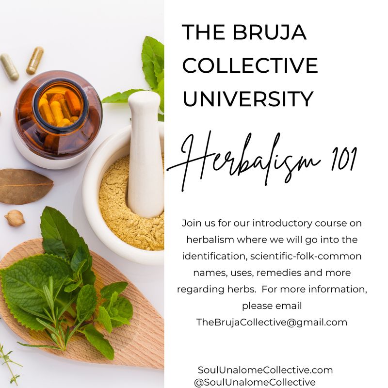 Herbalism 101 Class - 24 Week Course