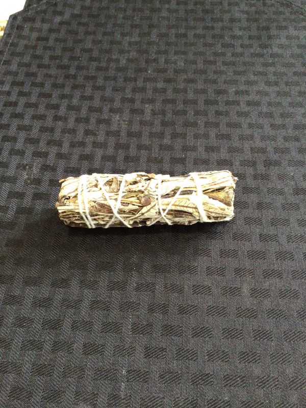 Yerba Santa Sage 4"