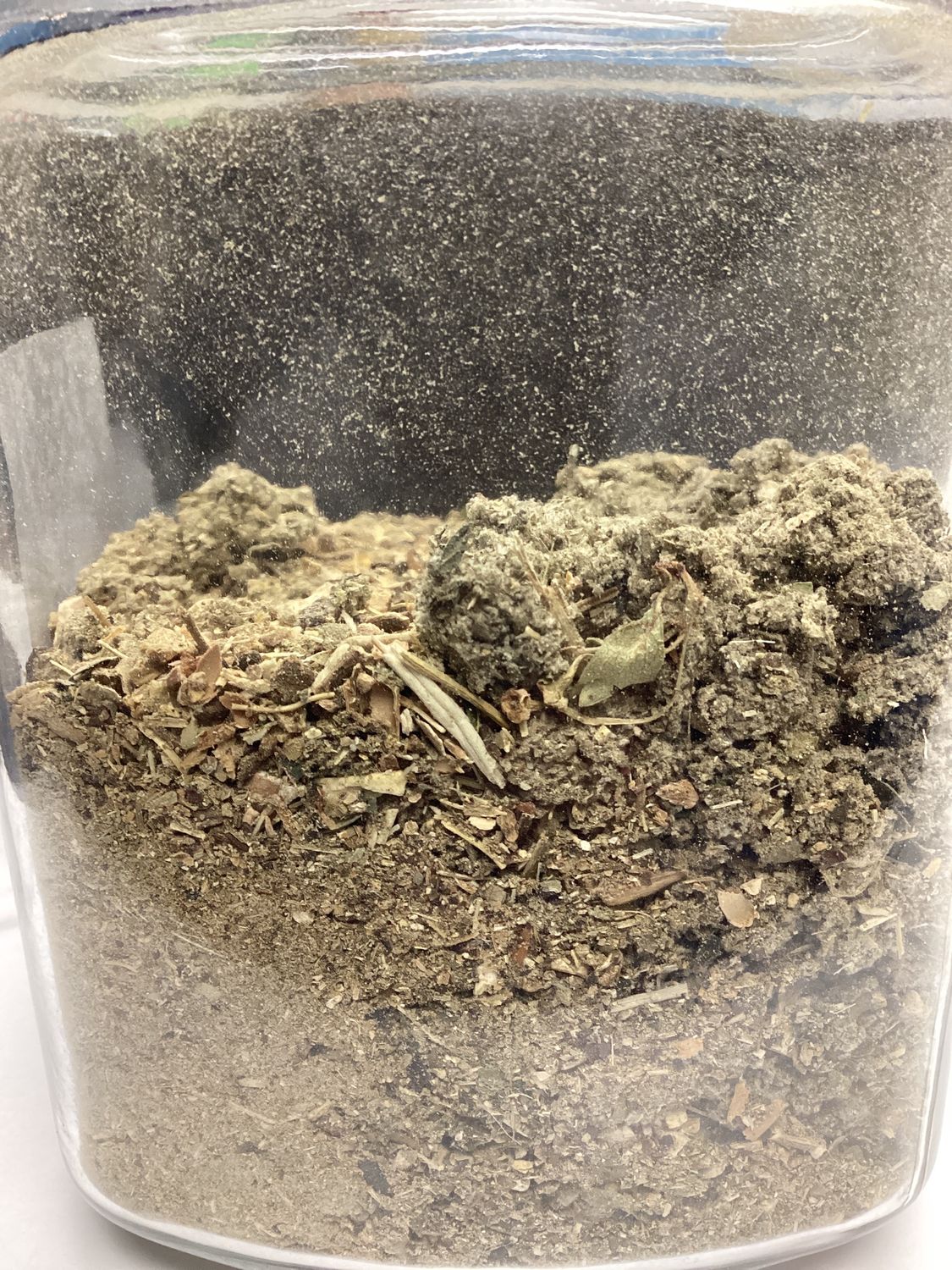 Fertile Ground Tea