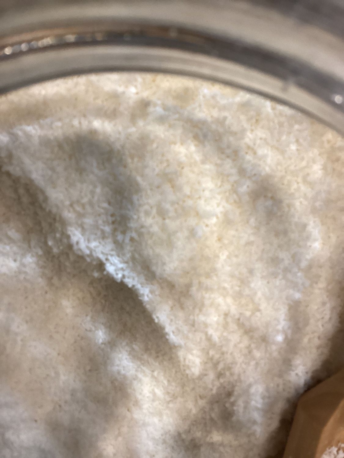 Coconut Powder