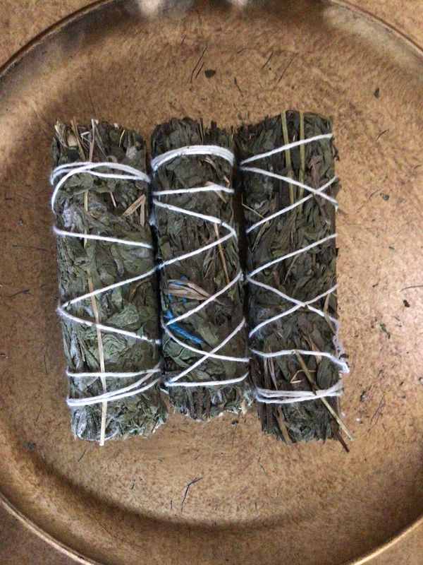 Mugwort Sage 4”