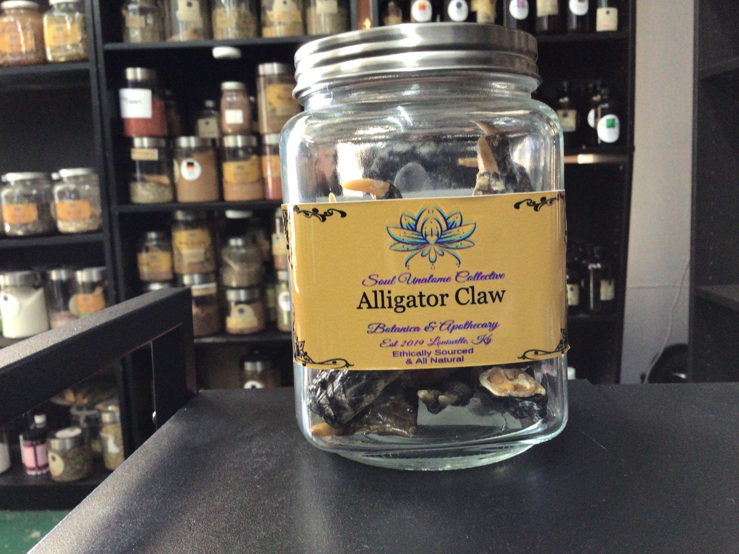 Alligator Claw