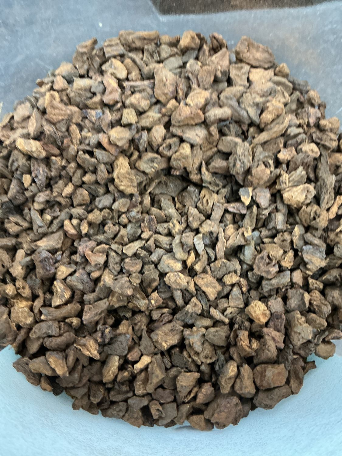Chicory Root