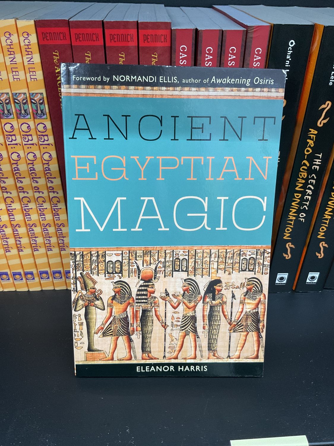 Ancient Egyptian Magic Book
