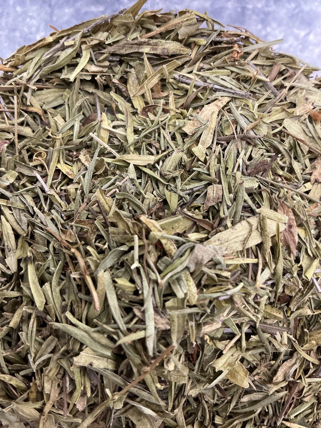 Winter Savory