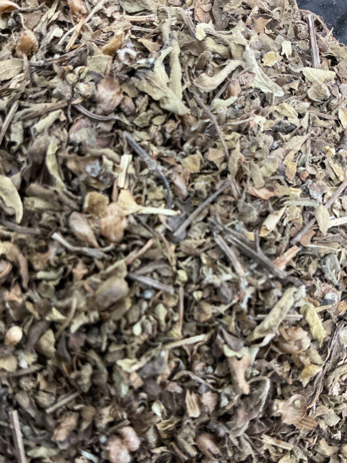 Holy Basil (Vana)