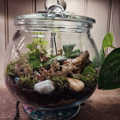 Terrariums