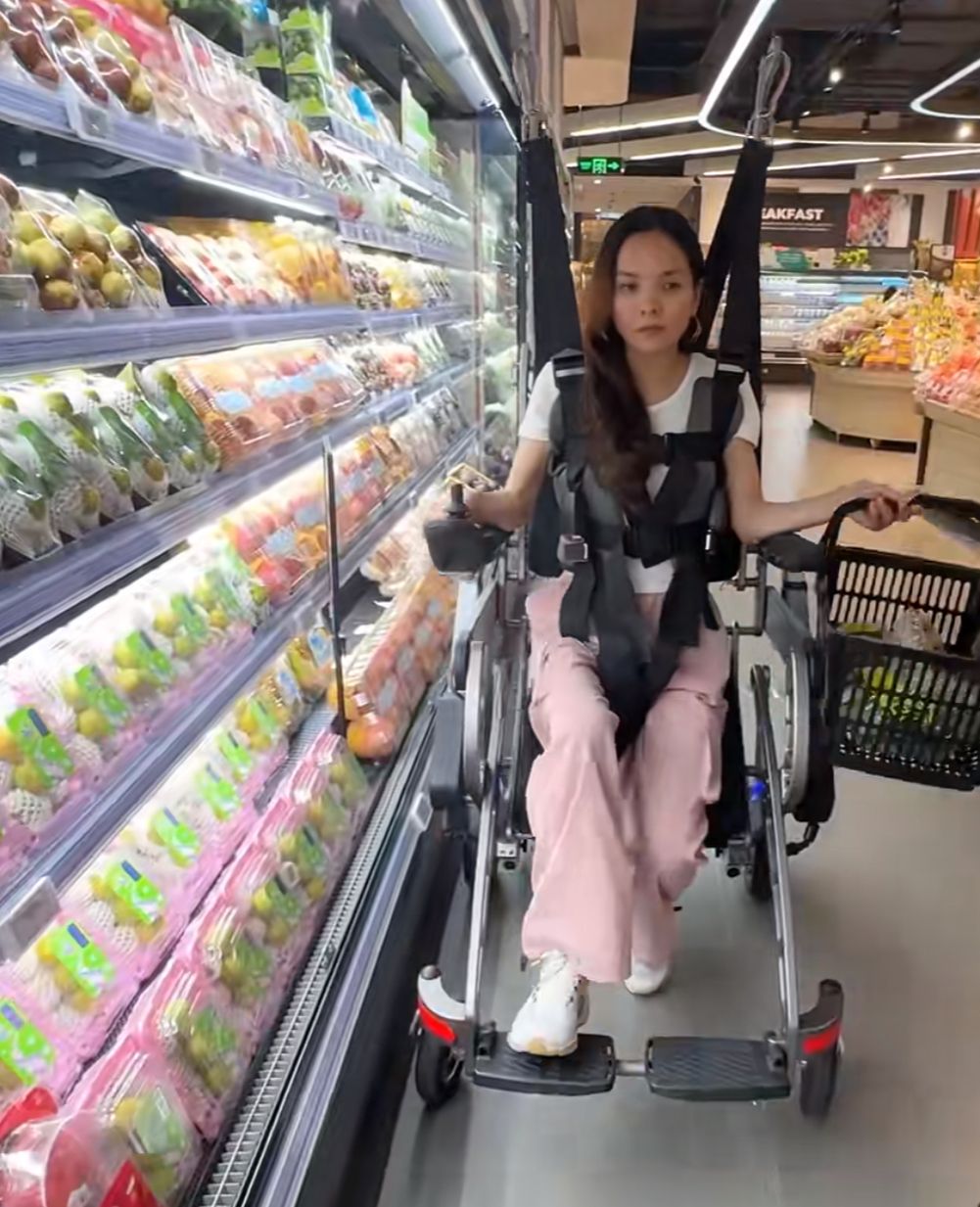 Assistive Walking Robot