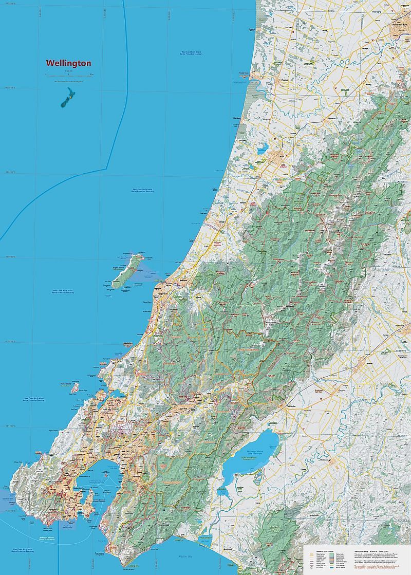Wellington Wall Map (NEWTP)