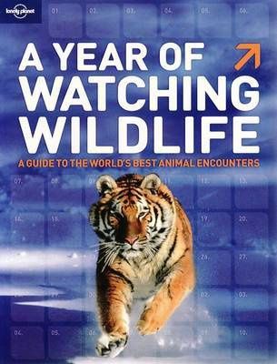 A Year of Wildlife Watching