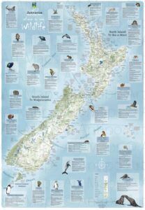 Wild Aotearoa / Where to See Wildlife NZ folded