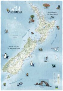 Wild Aotearoa NZ flat