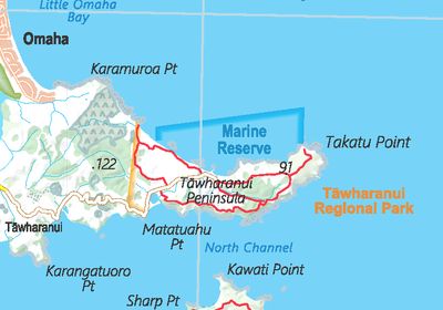 Auckland Wall Map | NewTopo