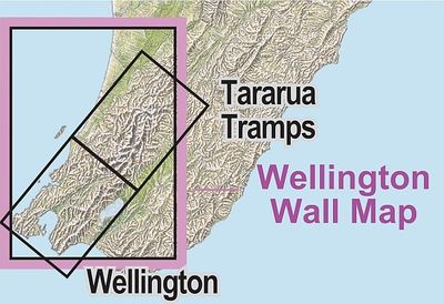 Wellington Wall Map | NewTopo