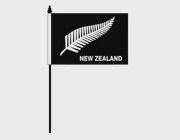 Silver Fern Desk Flag