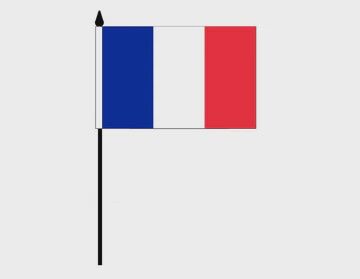 France Desk Flag