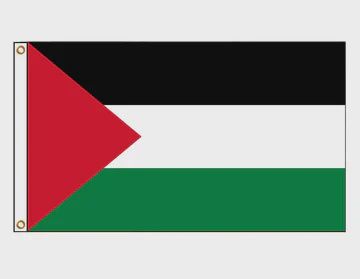 Palestine Flag