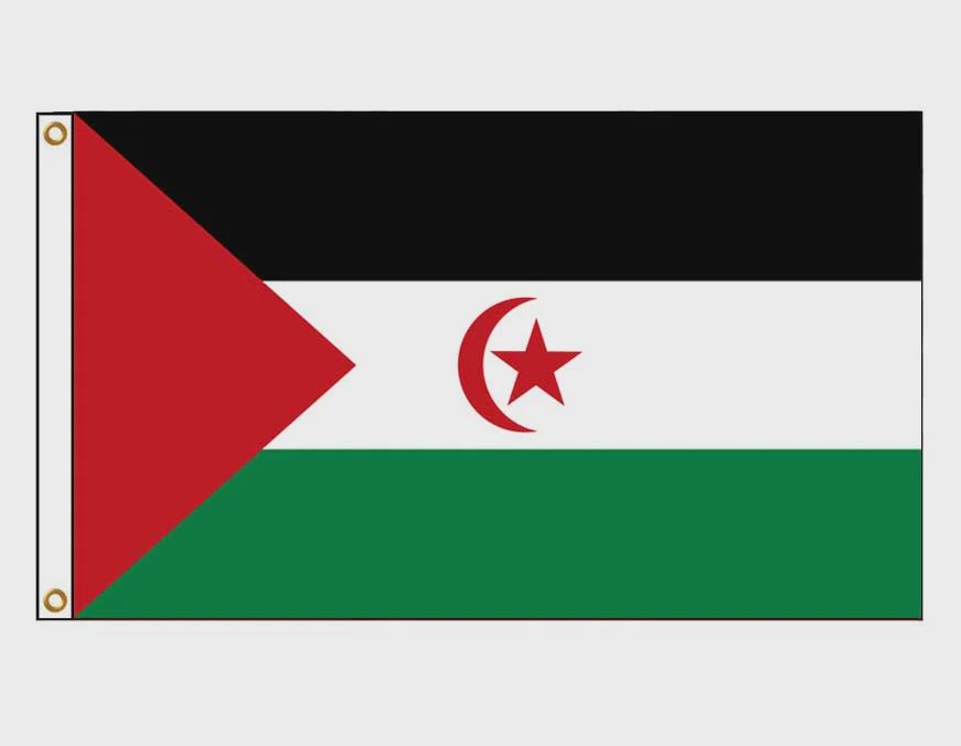 Western Sahara Flad