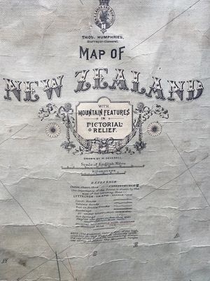 Rare New Zealand Map 1921