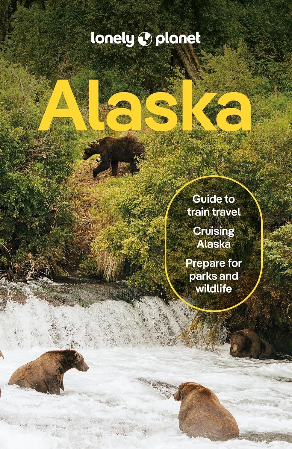 Alaska Guide · Lonely Planet