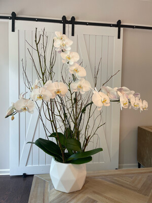 Minimalist Orchid Design 